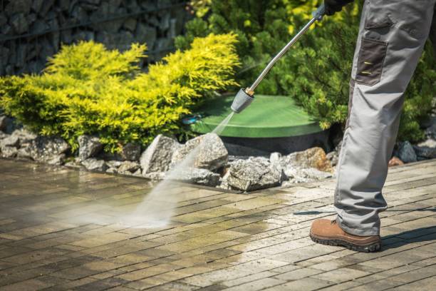 Best Driveway Pressure Washing  in Midway, KY